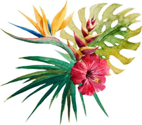Jungkook 🌈🌴🌺bts Btsarmy Jungkook Jin Suga Jimin - Bayou Breeze Aquilina Wild Tropical Orchid Shower Curtain (545x480), Png Download