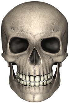 Adult Content Safesearch Skull Day Of The Dead Bone - Tierisches Eiweiß Ist Ungesund - Epub (511x340), Png Download