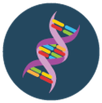 Dna Helix Clip Art At - Clip Art (527x399), Png Download