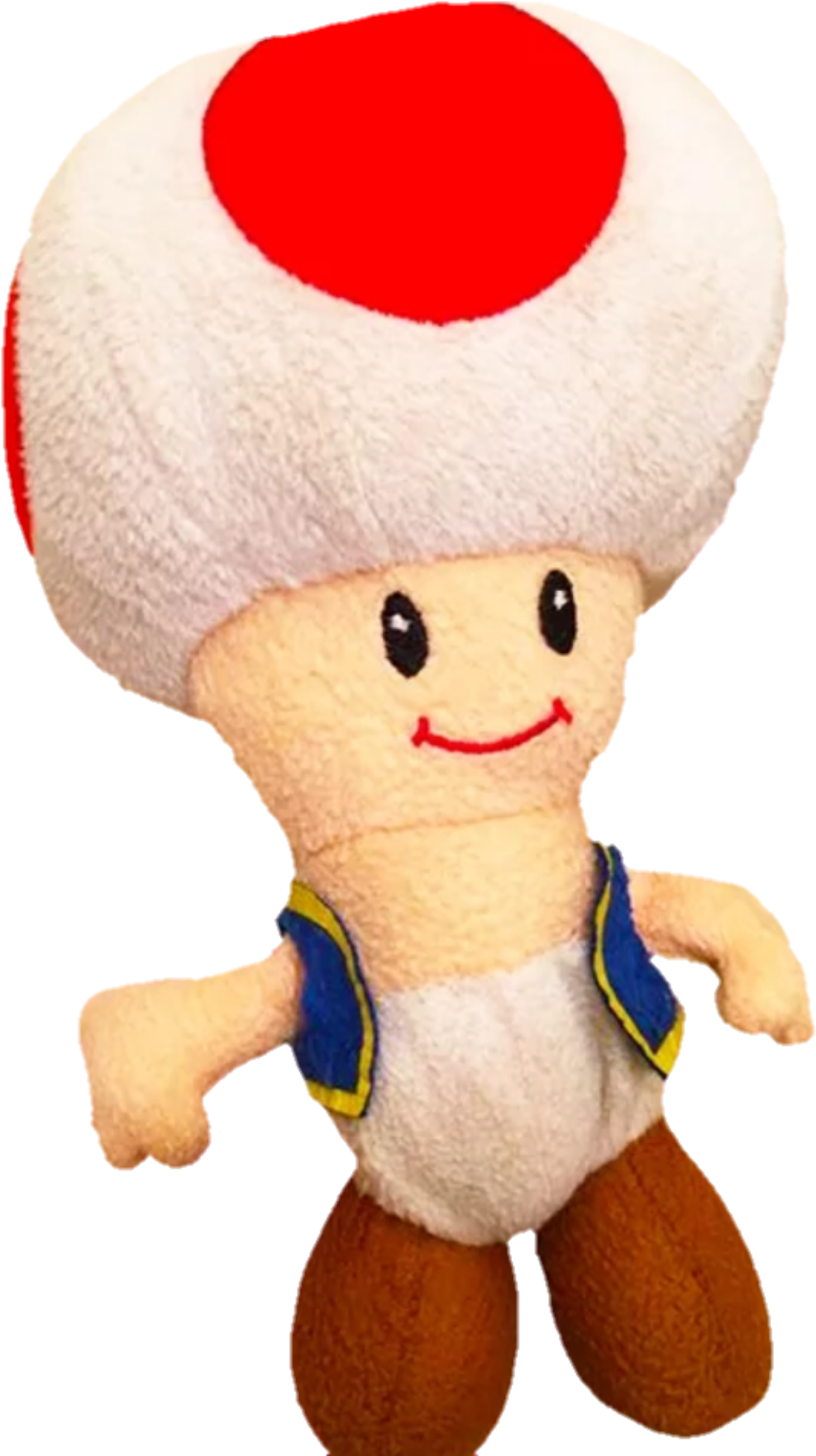 Toad Supermariologan Wiki Fandom Powered By Wikia - Supermariologan Toad (1476x2621), Png Download