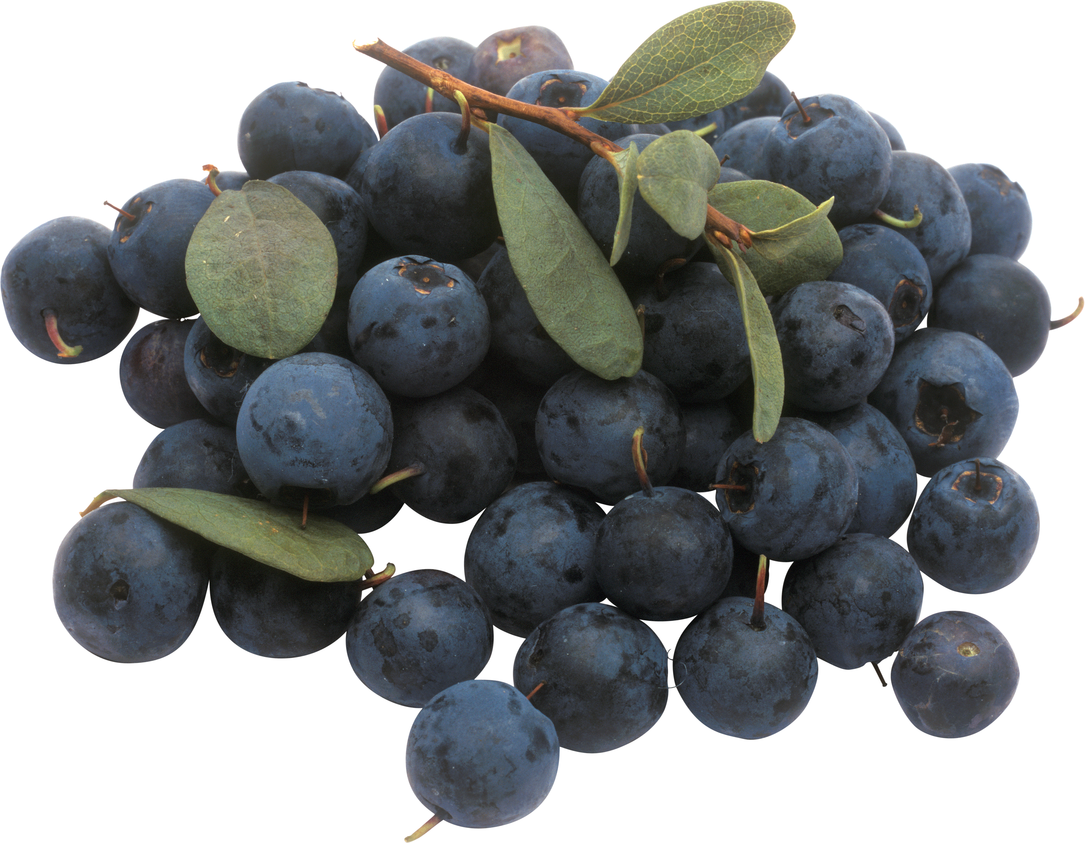 Blueberry Png (3480x2705), Png Download