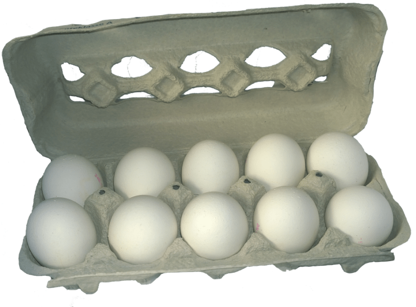 Egg Carton Transparent (640x473), Png Download