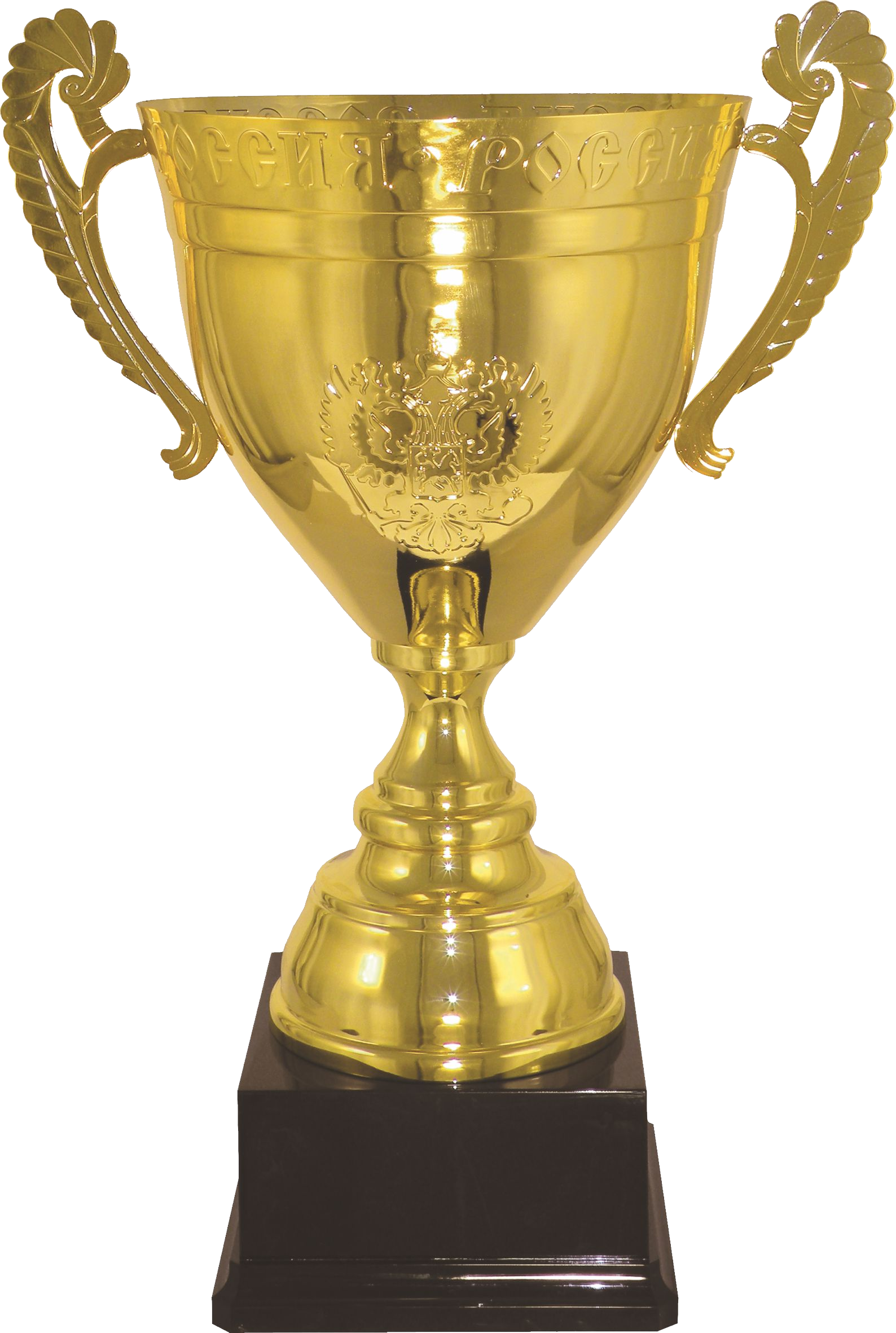 Golden Trophy Png Free - Golden Cup Png (600x892), Png Download