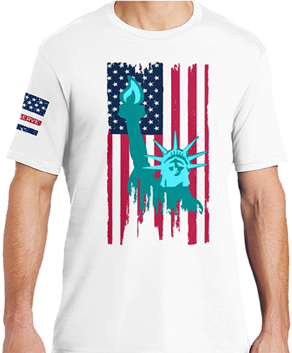 Statue Of Liberty In Front Of American Flag In Color - Statue Of Liberty With American Flag (498x498), Png Download