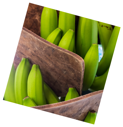 History Pics Banana - Banana (550x440), Png Download