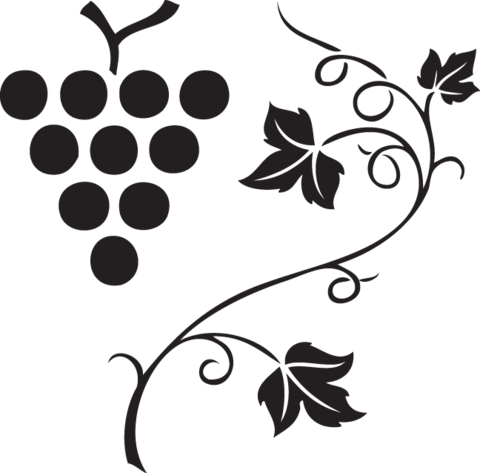 Jpg Transparent Grape Vine Silhouette At Getdrawings - City Of Vineland Logo (480x473), Png Download