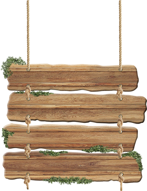 Wood Woodsign Sign Signs Wooden Decorations - Wood (567x685), Png Download