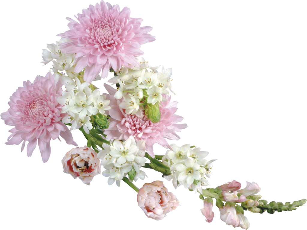 Transparent Soft Flower Arrangement Clipart - Transparent Images Of Flowers (1024x769), Png Download