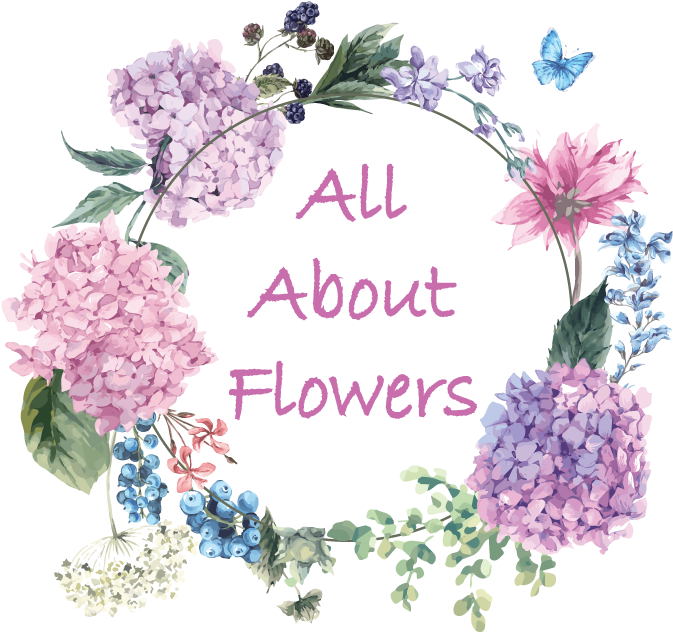 All About Flowers Online Ordering - Lolibean Hot Pink Skinny Elastic Headband - Petite (1000x1000), Png Download