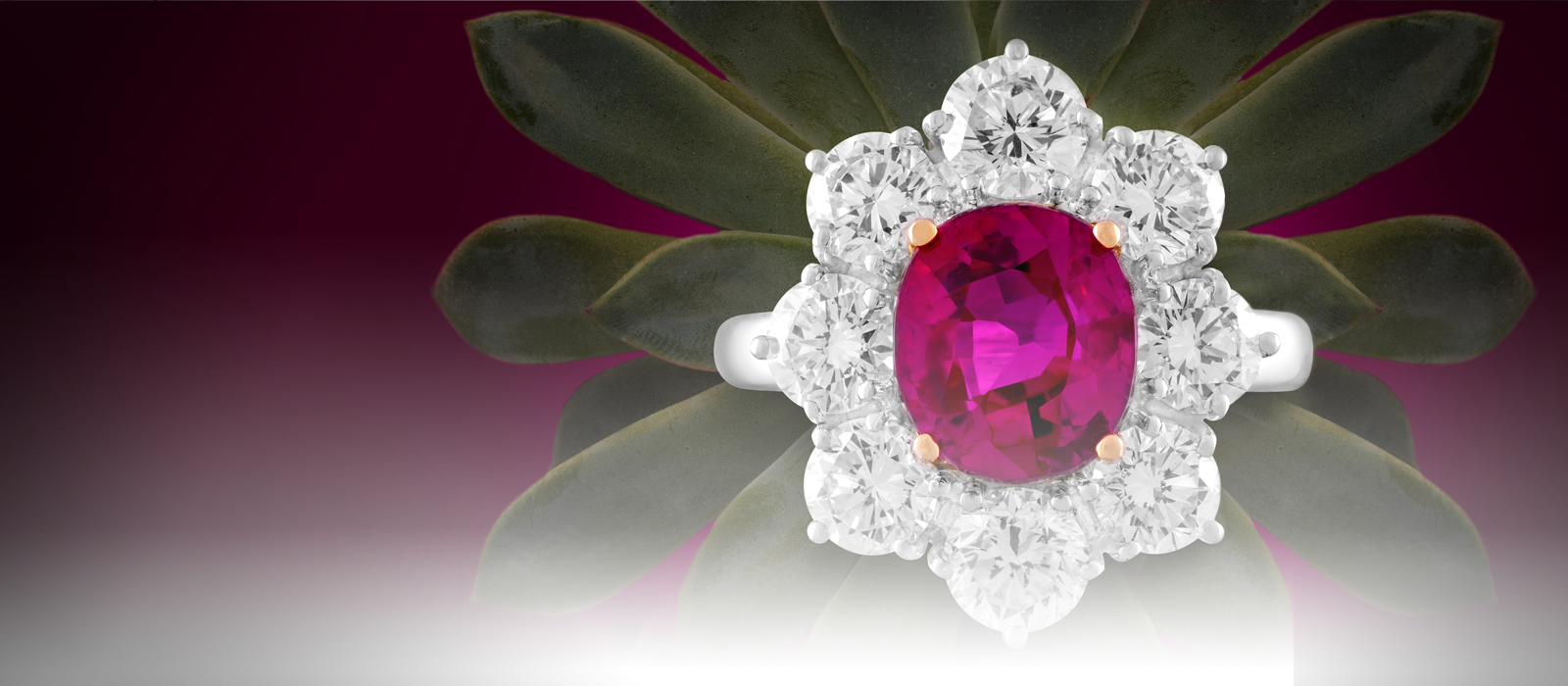 Precious Gems Collection - Ruby (1600x700), Png Download