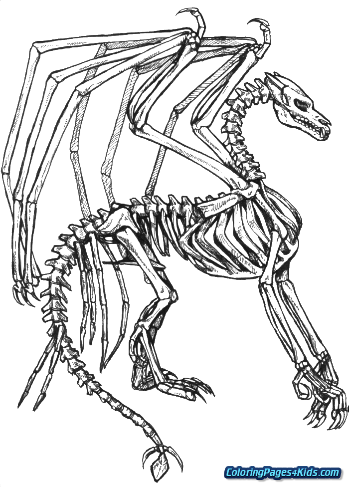 Halloween Skeleton Coloring Pages - Coloring Book (700x976), Png Download