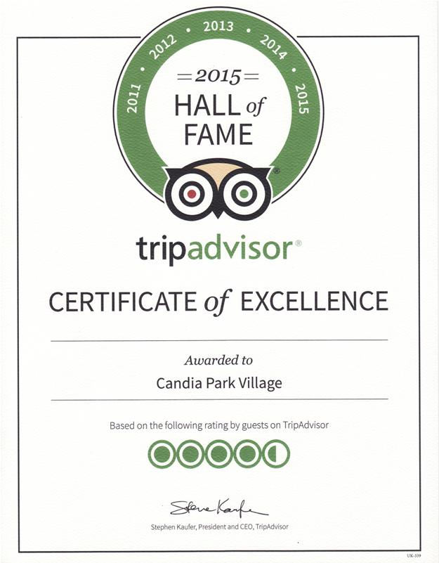 Tripadvisor Hall Of Fame - Listerine Antiseptic Mouthwash, Cool Mint - 250 Ml (800x800), Png Download