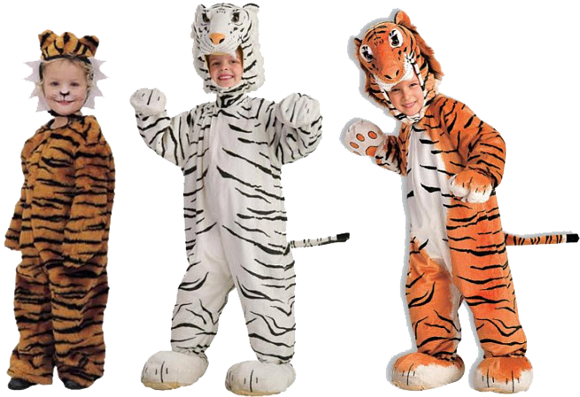 Kids Halloween Costumes - Tiger Halloween Costumes Ireland (655x449), Png Download