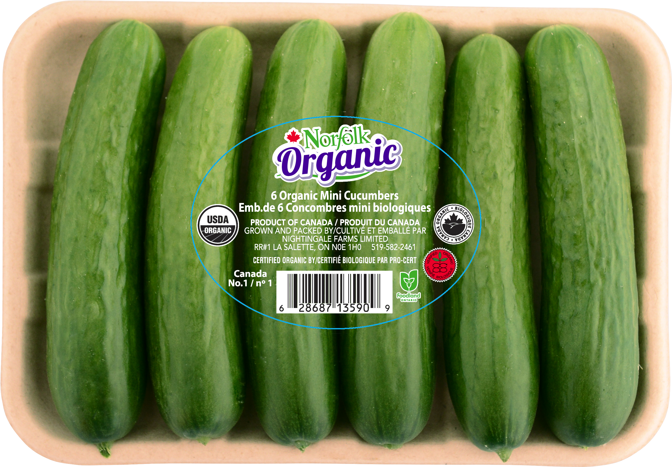 Cucumber 6 Pack - Organic Mini Cucumbers (3600x2400), Png Download