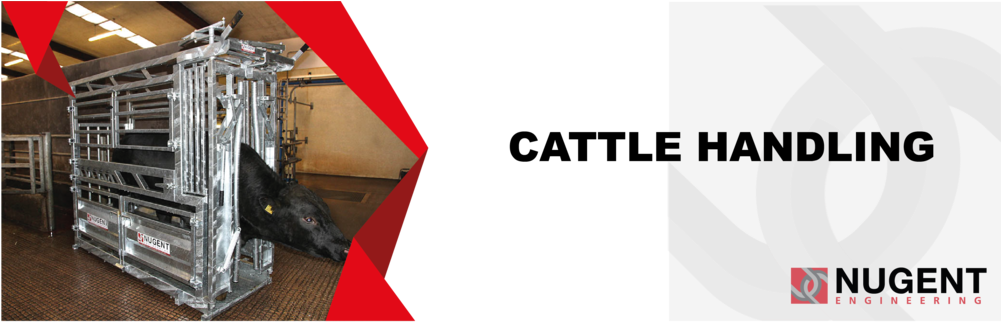 Ffm Website Banners Nugent Engineering Cattle Handling (1000x740), Png Download