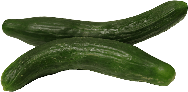 English Cucumbers - Cucumber (864x576), Png Download