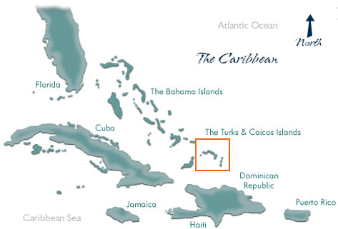 We're Not Exactly In The Caribbean - Zika Virus Turks And Caicos (472x328), Png Download