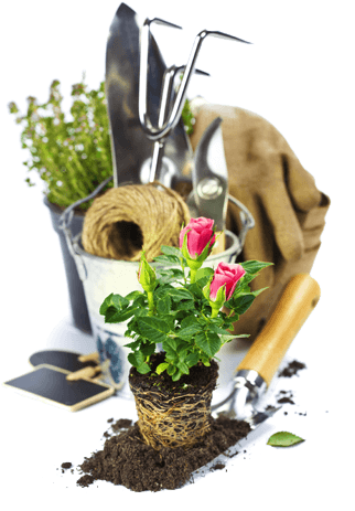 Garden Tools Flowers A - Bouquet (328x470), Png Download