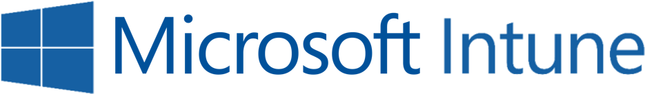 Leveraging Remote Management Services As Needed For - Microsoft Dynamics Crm Basic Cal - Licence & Software (979x200), Png Download
