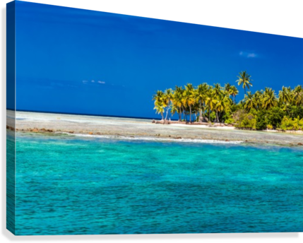 Tropical Island Background Canvas Print - Palm Trees (429x344), Png Download