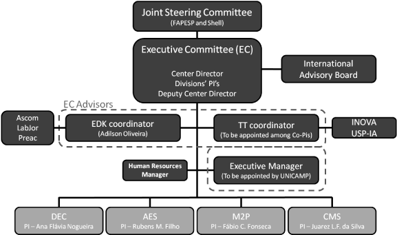 Governance Structure For The Cine - Organization (600x400), Png Download
