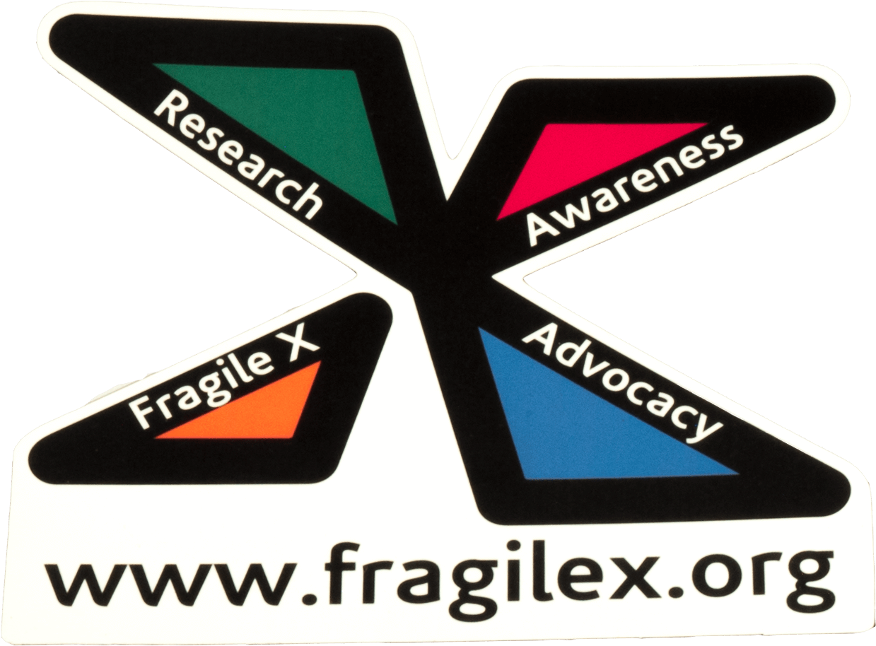 National Fragile X Foundation Car Magnet - Car (1450x1099), Png Download