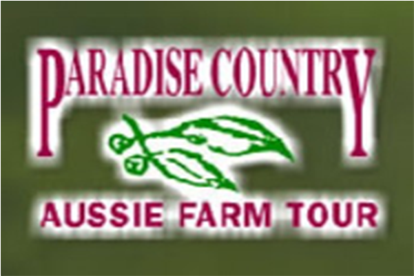 5d4n Gold Coast Village Roadshow Theme Parks - Graphics (600x600), Png Download