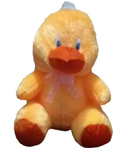 Baby Duck (500x500), Png Download