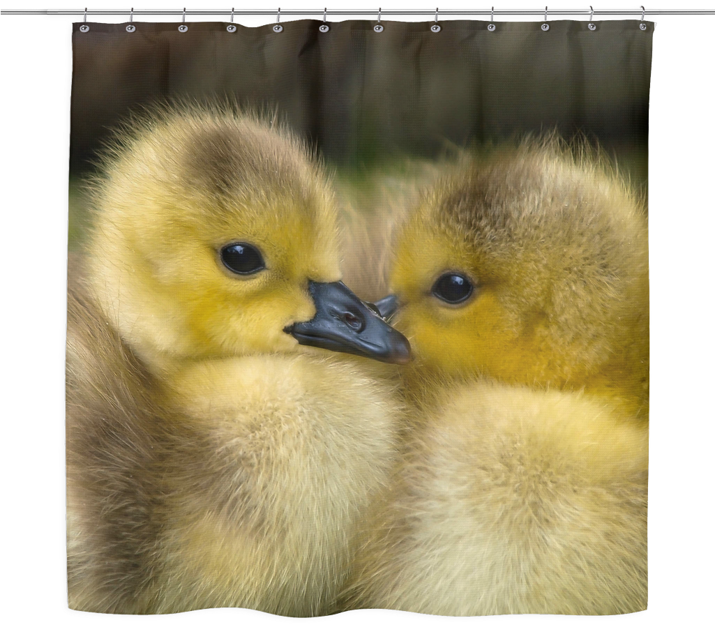 99 High Quality Baby Ducks Textured Shower Curtain - Cute Baby Tropical Rainforest Animals (1024x1024), Png Download