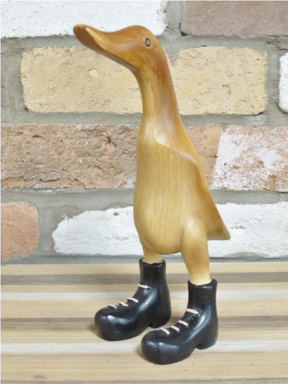 Baby Duck In Boots - Wellington Boot (1152x768), Png Download