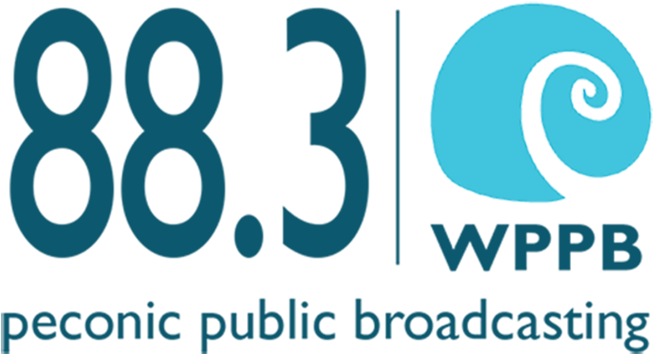 Wppb Logo - Wppb (850x543), Png Download
