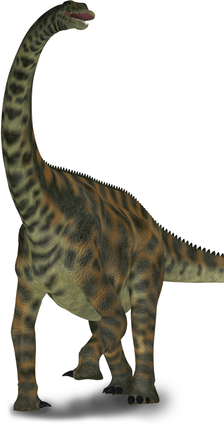 Scene Dino - Dinosaurs Spinophorosaurus (455x868), Png Download