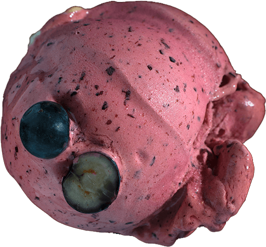 Blueberry And Sake - Animal Figure (601x655), Png Download