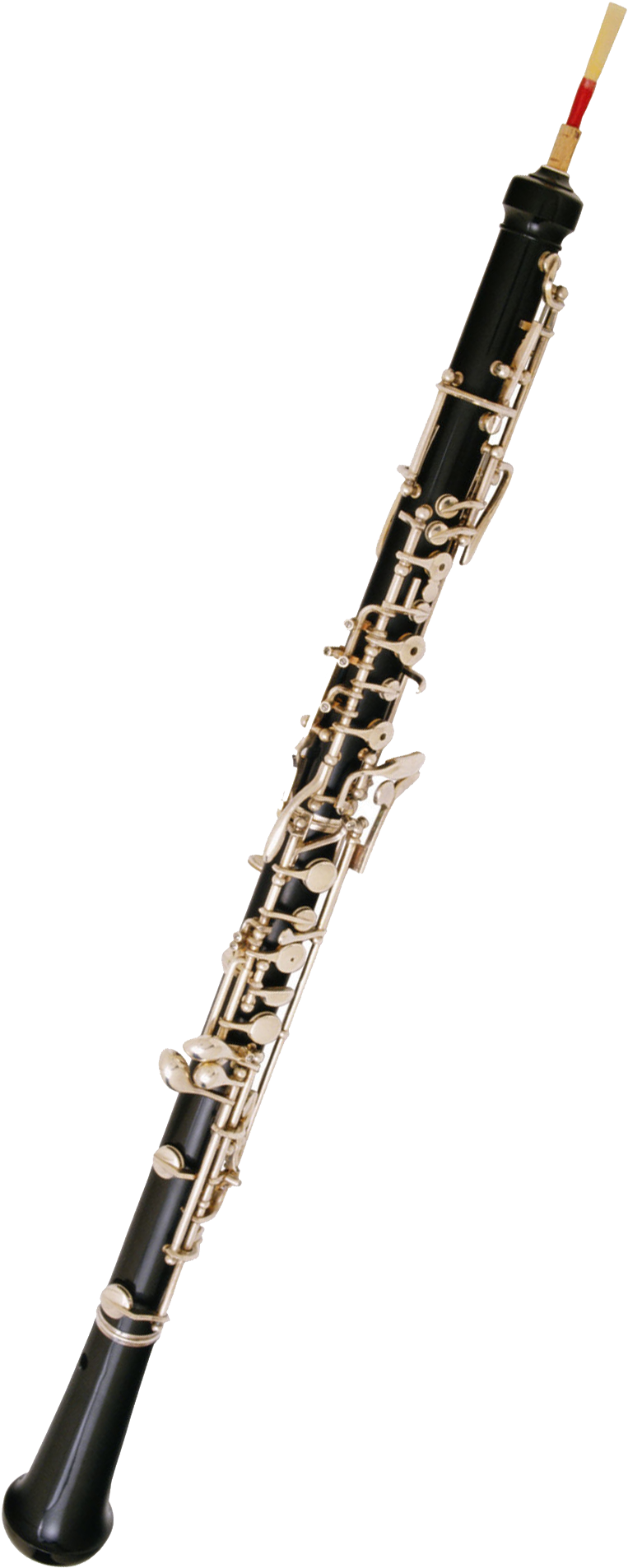 Bass Oboe Related Keywords Suggestions - Oboe Clipart (1196x1905), Png Download