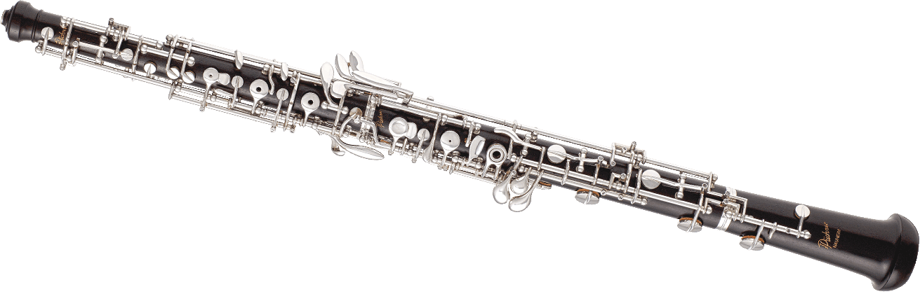 Model - Flöte Instrument (1311x420), Png Download