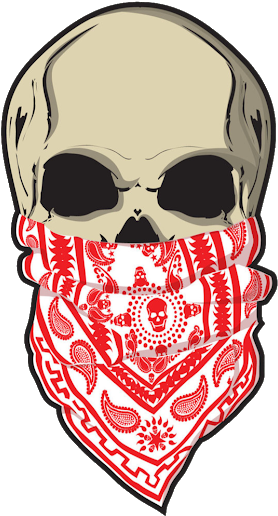 Photo - Skull With Bandana Drawing (530x530), Png Download
