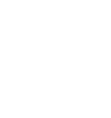 Twitter White Icon Png (370x395), Png Download