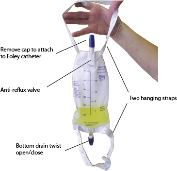 Urine Collection Bag 600ml - Part Of Urine Bag (364x360), Png Download