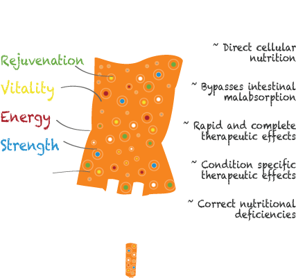 Slide1 - Myer's Cocktail (475x410), Png Download