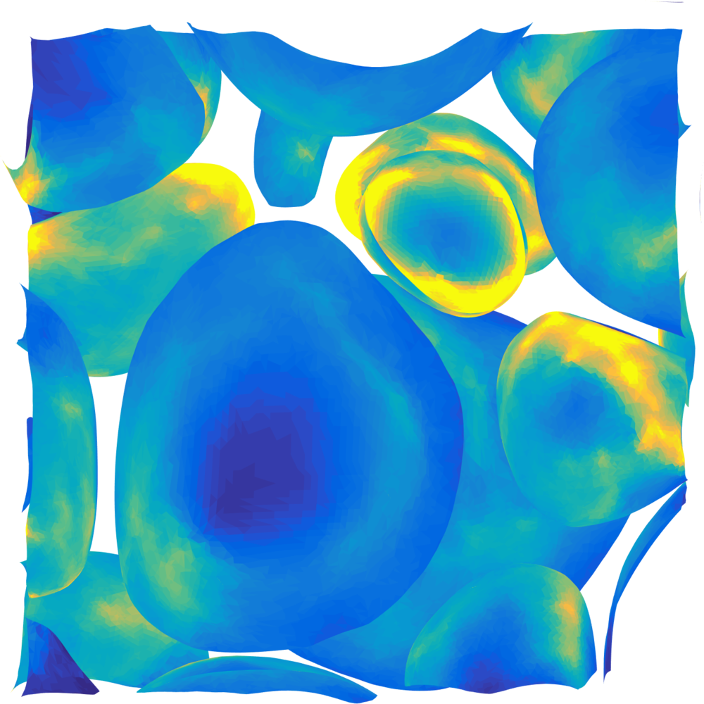 Export Fig Out (1000x1000), Png Download