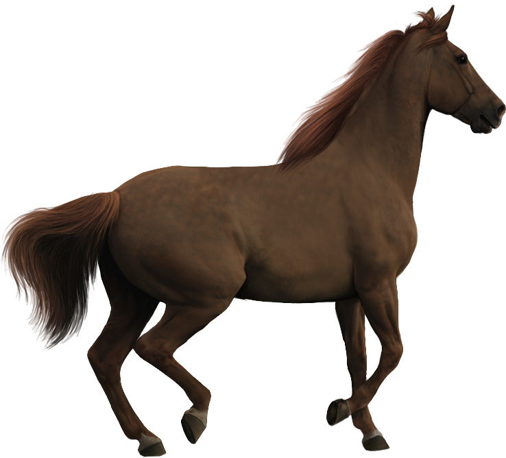 Mare Clipart Baby Goat - Precut Jumping Horses (838x733), Png Download