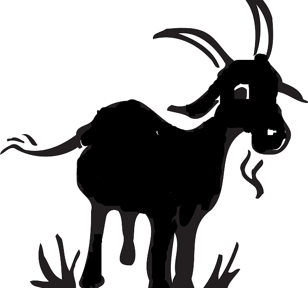 Baby Sitter Required For A Goat - White Goat And Black Goat Cartoon (622x582), Png Download