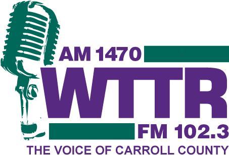 Wttr Logo Final Pdf - Fresh Voices New Sounds Of Bollywood (490x362), Png Download