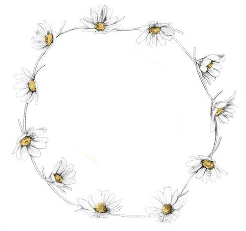 Transparent Flowers Yellow Png By Dementiarunner On - Caption For Flower Crown (500x500), Png Download