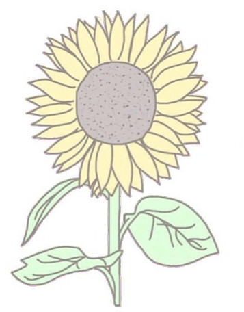 Sunflower Png Tumblr For Kids - Sunflower (500x500), Png Download