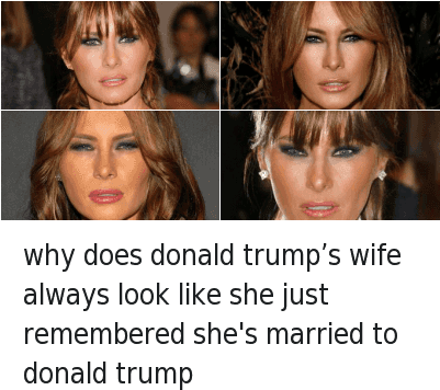 Does Melania Trump Like Donald Trump Photo - Trump And Wife Meme (400x369), Png Download