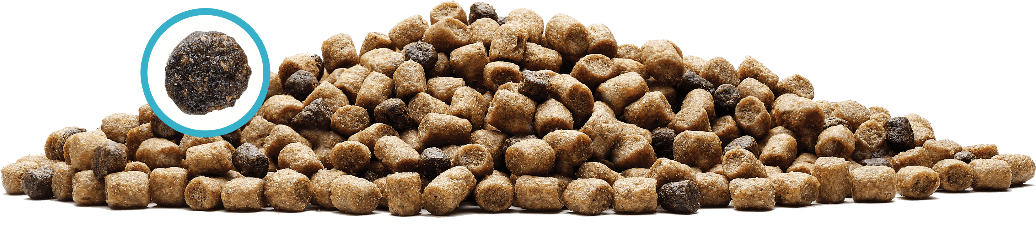 Exclusive Lifesource Bits® - Blue Buffalo Grain-free Dry Cat Food, Wilderness Salmon (4037x1764), Png Download