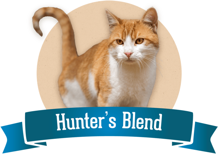 Dry Cat Food - Cat (1000x557), Png Download