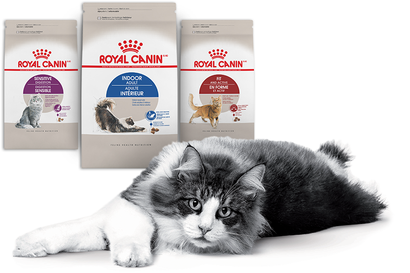 Nielsen Through Scantrack Service For The Cat Food - Royal Canin Feline Health Nutrition Indoor Adult Dry (912x573), Png Download