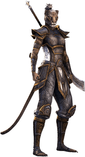 Elder Scrolls Online - Elder Scrolls Online Khajiit Png (578x611), Png Download